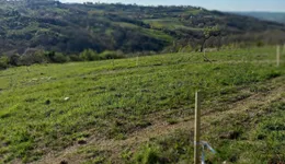 Aste giudiziarie immobiliari online - 4.0