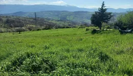 Aste giudiziarie immobiliari online - 2.0