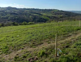 Aste giudiziarie immobiliari online - 2.0