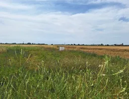 Aste giudiziarie immobiliari online - 10.0