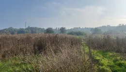 Aste giudiziarie immobiliari online - 9.0