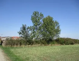 Aste giudiziarie immobiliari online - 7.0