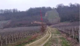 Aste giudiziarie immobiliari online - 11.0