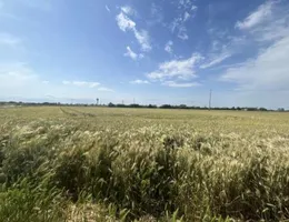 Aste giudiziarie immobiliari online - 10.0