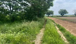 Aste giudiziarie immobiliari online - 10.0