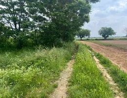 Aste giudiziarie immobiliari online - 8.0