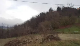 Aste giudiziarie immobiliari online - 3.0