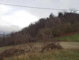 Aste giudiziarie immobiliari online - 4.0