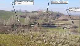 Aste giudiziarie immobiliari online - 7.0