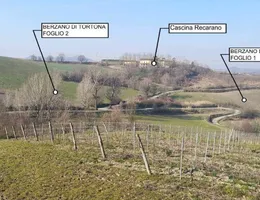 Aste giudiziarie immobiliari online - 1.0