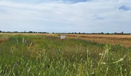 Aste giudiziarie immobiliari online - 5.0