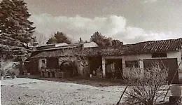 Aste giudiziarie immobiliari online - 4.0