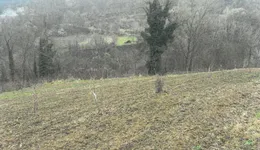 Aste giudiziarie immobiliari online - 4.0