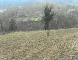 Aste giudiziarie immobiliari online - 2.0