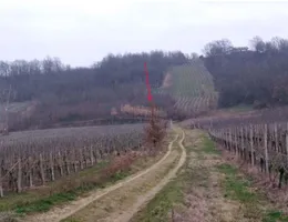 Aste giudiziarie immobiliari online - 11.0