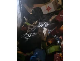 Aste giudiziarie mobiliari online - 9.0