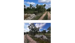 Aste giudiziarie immobiliari online - 9.0