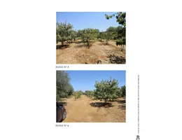 Aste giudiziarie immobiliari online - 3.0