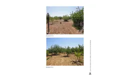 Aste giudiziarie immobiliari online - 10.0