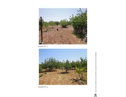 Aste giudiziarie immobiliari online - 9.0