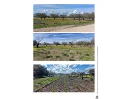 Aste giudiziarie immobiliari online - 10.0