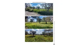 Aste giudiziarie immobiliari online - 7.0