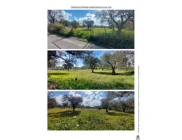 Aste giudiziarie immobiliari online - 11.0