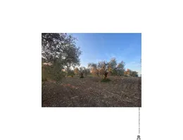 Aste giudiziarie immobiliari online - 9.0