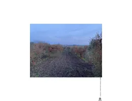 Aste giudiziarie immobiliari online - 7.0