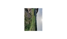 Aste giudiziarie immobiliari online - 2.0