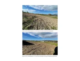 Aste giudiziarie immobiliari online - 5.0