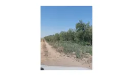 Aste giudiziarie immobiliari online - 10.0