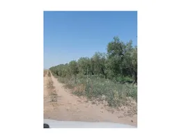 Aste giudiziarie immobiliari online - 5.0