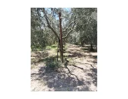 Aste giudiziarie immobiliari online - 6.0