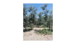 Aste giudiziarie immobiliari online - 2.0