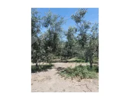 Aste giudiziarie immobiliari online - 7.0