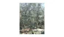 Aste giudiziarie immobiliari online - 3.0