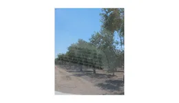 Aste giudiziarie immobiliari online - 4.0