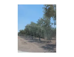 Aste giudiziarie immobiliari online - 9.0