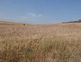Aste giudiziarie immobiliari online - 11.0
