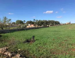 Aste giudiziarie immobiliari online - 10.0