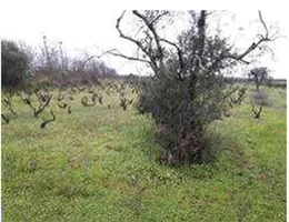 Aste giudiziarie immobiliari online - 5.0