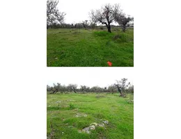 Aste giudiziarie immobiliari online - 6.0