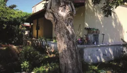 Aste giudiziarie immobiliari online - 2.0