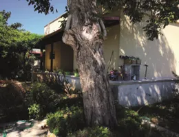 Aste giudiziarie immobiliari online - 2.0