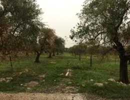 Aste giudiziarie immobiliari online - 7.0