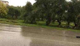 Aste giudiziarie immobiliari online - 8.0