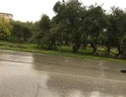 Aste giudiziarie immobiliari online - 8.0