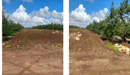 Aste giudiziarie immobiliari online - 2.0