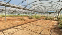 Aste giudiziarie immobiliari online - 3.0